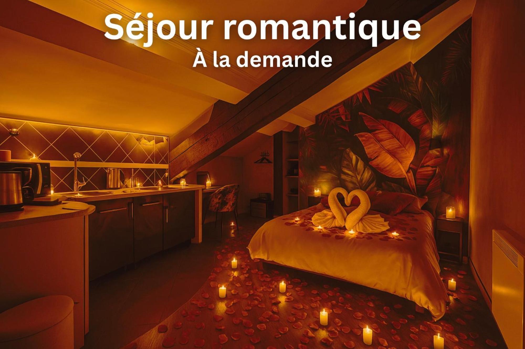 Appart'Hotel Chaleureux Au Coeur De Tullins - Le Roitelet Pokoj fotografie